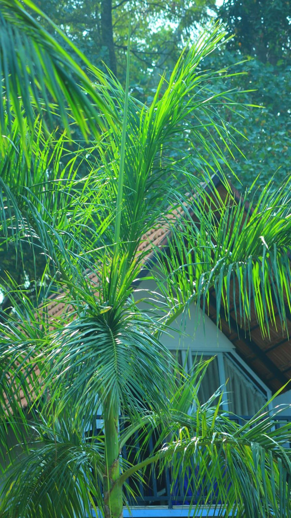 Ripples Service Villas Kollam Exterior photo